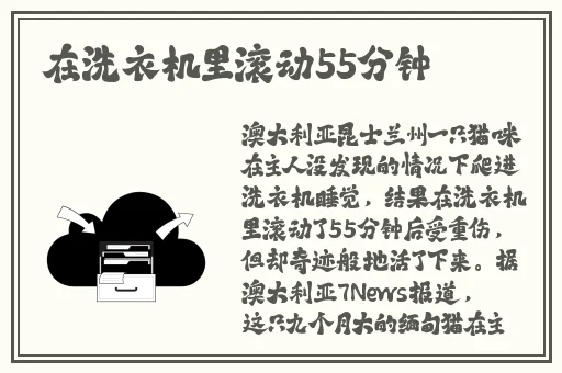 草莓榴莲向日葵奶茶